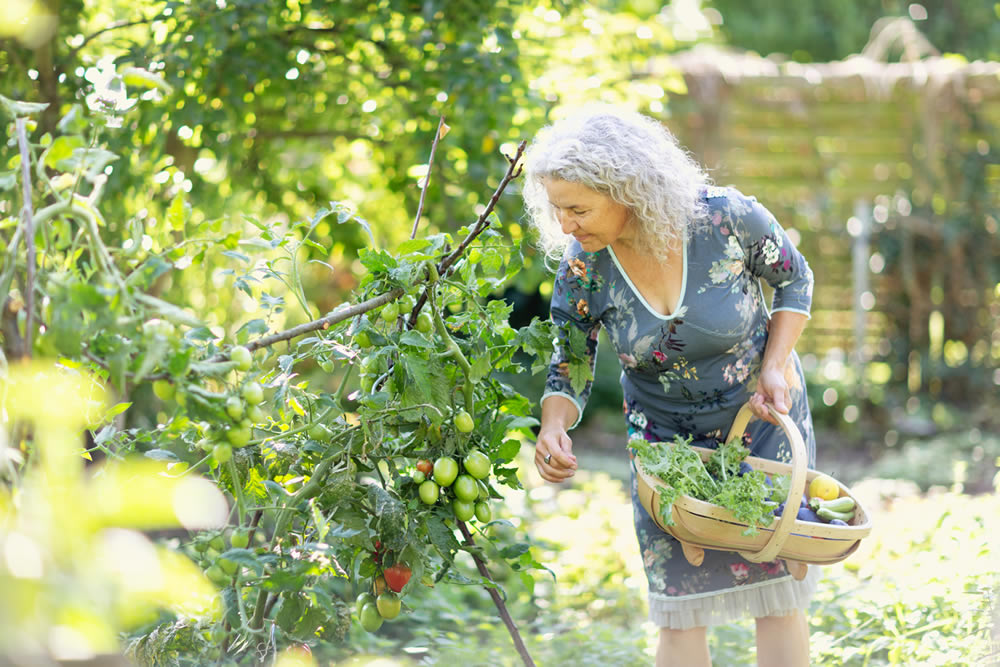 Women gardening